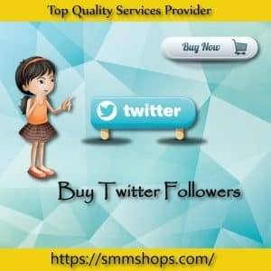 Buy Twitter Real Followers