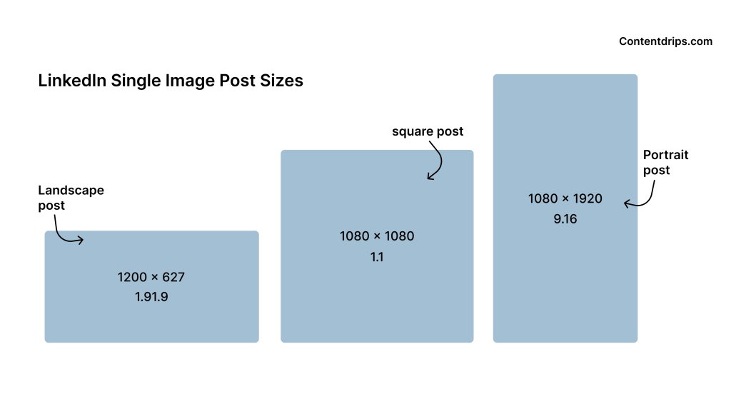 Laptop screen showing a perfectly sized image upload for a professional profile.